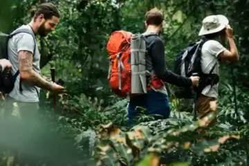 O Guia Definitivo de Equipamentos de Escalada para Florestas Tropicais