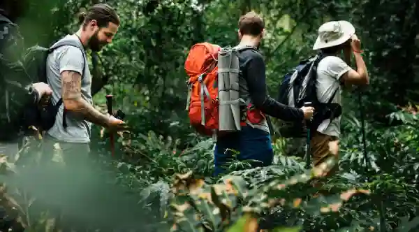 O Guia Definitivo de Equipamentos de Escalada para Florestas Tropicais