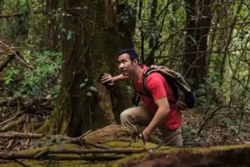 Técnicas Essenciais de Escalada em Florestas Tropicais: Evite Erros Comuns e Ganhe Segurança
