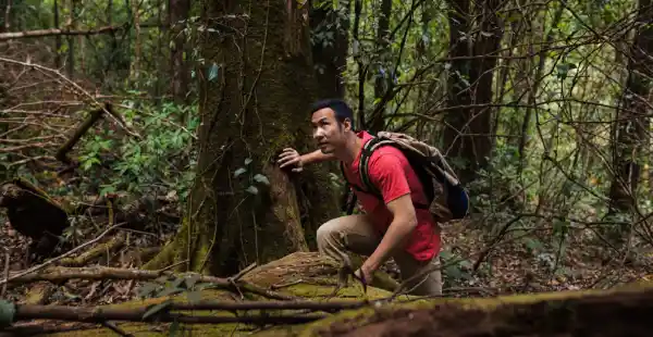 Técnicas Essenciais de Escalada em Florestas Tropicais: Evite Erros Comuns e Ganhe Segurança