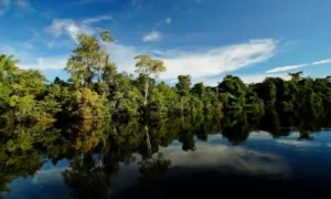 Amazônia AM/PA - Expedição na Maior Floresta Tropical do Mundo