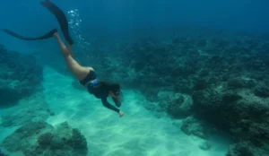 Fernando de Noronha (PE) - Mergulho com Vida Marinha Abundante