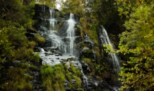 Serra da Canastra (MG) - Nascente do São Francisco e Cachoeiras Épicas